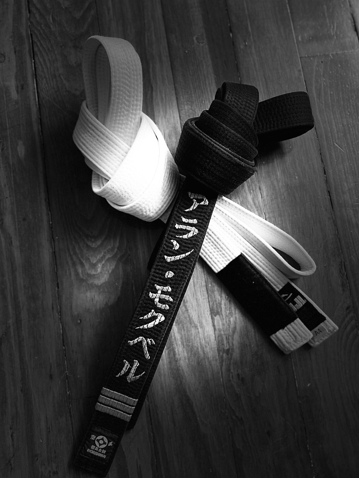 Tomando el Camino del “Dō”: Un Viaje de Exploración Permanente